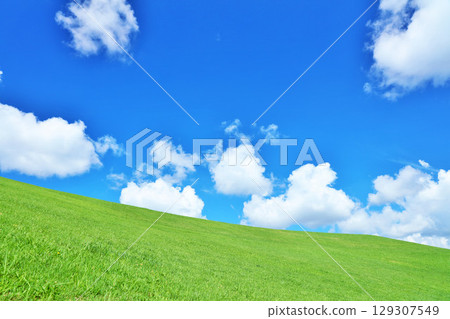 清爽的夏日藍天和清新的綠色草甸景觀 清爽的夏日藍天和清新的綠色草甸景觀 129307549