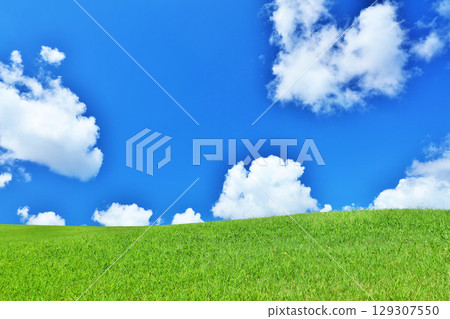 Refreshing summer blue sky and fresh green meadow landscape Refreshing summer blue sky and fresh green meadow landscape 129307550