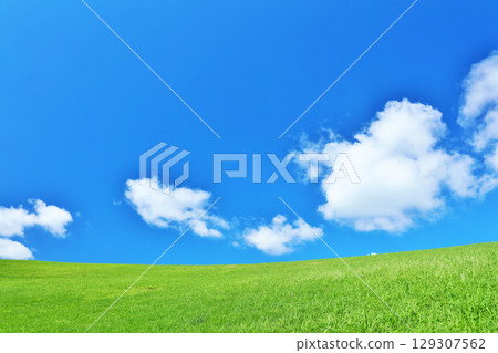 Refreshing summer blue sky and fresh green meadow landscape 129307562