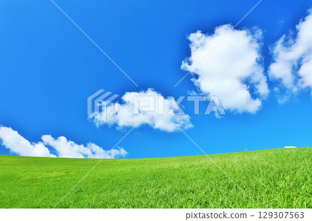 清爽的夏日藍天和清新的綠色草甸景觀 清爽的夏日藍天和清新的綠色草甸景觀 129307563
