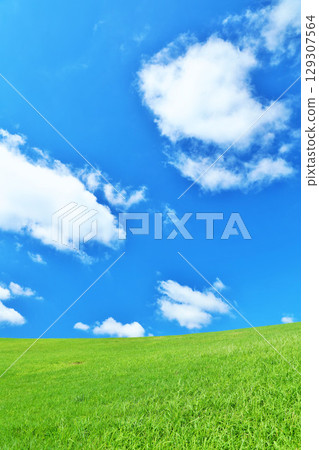 清爽的夏日藍天和清新的綠色草甸景觀 清爽的夏日藍天和清新的綠色草甸景觀 129307564