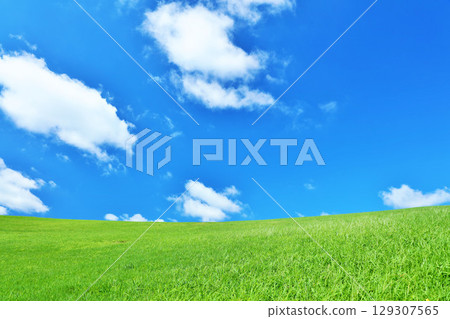 清爽的夏日藍天和清新的綠色草甸景觀 清爽的夏日藍天和清新的綠色草甸景觀 129307565