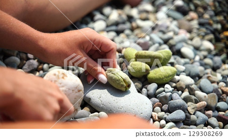 Rocks beach hands: Hands arrange green almonds on pebbles at beach outdoors, sunlit summer day. Rocks beach hands: Hands arrange green almonds on pebbles at beach outdoors, sunlit summer day. 129308269