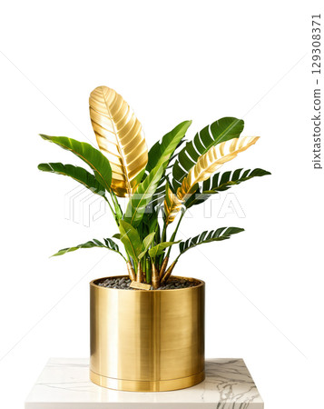 Zamioculcas in brushed brass planter, side lighting, gentle spin, professional product shot, transparent setting 129308371