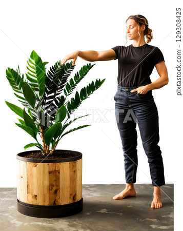 Modern Zamioculcas in wood and metal pot, soft side lighting, zero gravity pose, advertising style, clean backdrop 129308425