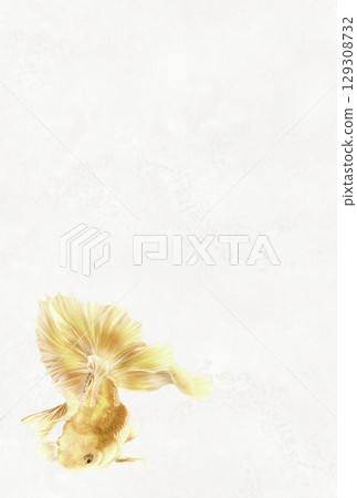 Plain gold Tosa Nishiki postcards 129308732