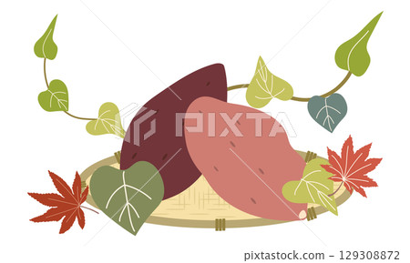 收穫的紅薯的插圖 129308872