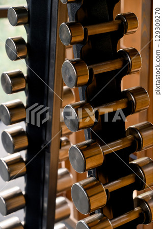 Vertical dumbbell rack in the gym. Stacked dumbbells on the rack 129309270
