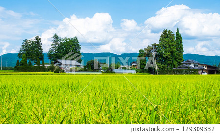 國家景觀在夏天 國家景觀在夏天 129309332