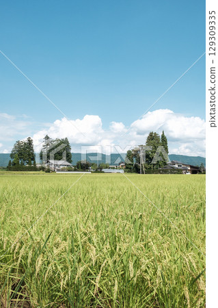 國家景觀在夏天 國家景觀在夏天 129309335