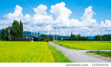 國家景觀在夏天 129309359