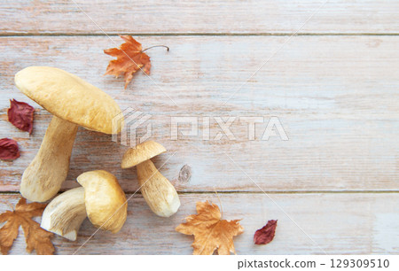 Fresh mushrooms and autumn leaves creating a frame on rustic wooden table 129309510