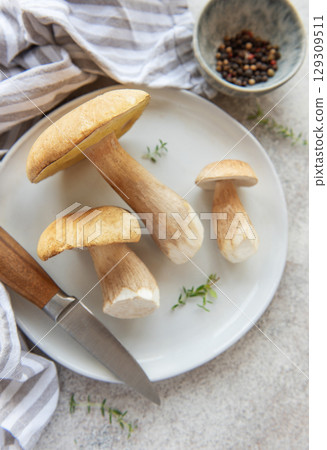 Fresh penny bun mushrooms ready for cooking on white plate 129309511