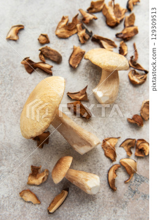 Fresh penny bun mushrooms lying on table with dried slices 129309513