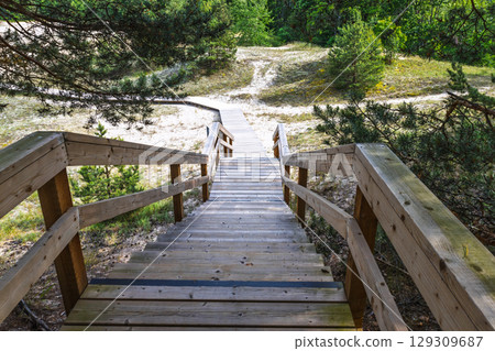 Wooden boardwalk descending through coastal dunes and pine forest to Baltic Sea beach Wooden boardwalk descending through coastal dunes and pine forest to Baltic Sea beach 129309687