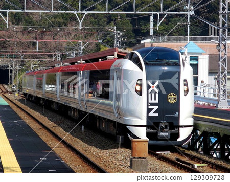 2014年2月25日 E259系列海洋快車大通子伊豆急行河津站 2014年2月25日 E259系列海洋快車大通子伊豆急行河津站 129309728