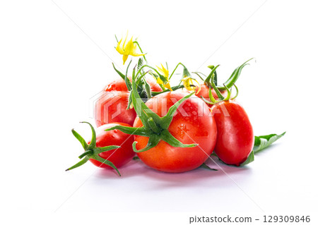 Ripe red tomatoes with flowers isolated on white background Ripe red tomatoes with flowers isolated on white background 129309846