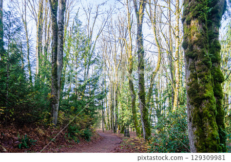 Countryside view of Mission, BC, Canada in the Autumn Countryside view of Mission, BC, Canada in the Autumn 129309981