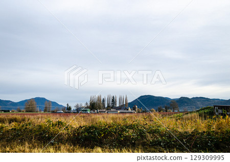 Agricultural farms in Fraser Valley, BC, Canada 129309995