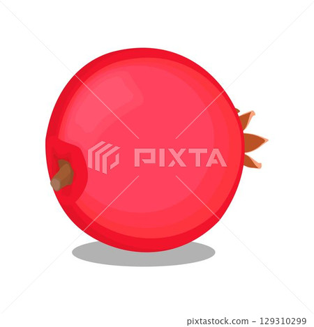 Vector illustration of whole and sliced pomegranate fruit in cartoon flat style. Punica granatum ripe fruit healthy food, agricultural product, isolated in white background. Red Garnet tropical fruit. Vector illustration of whole and sliced pomegranate fruit in cartoon flat style. Punica granatum ripe fruit healthy food, agricultural product, isolated in white background. Red Garnet tropical fruit. 129310299