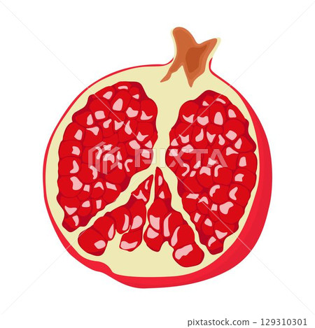 Vector illustration of whole and sliced pomegranate fruit in cartoon flat style. Punica granatum ripe fruit healthy food, agricultural product, isolated in white background. Red Garnet tropical fruit. 129310301
