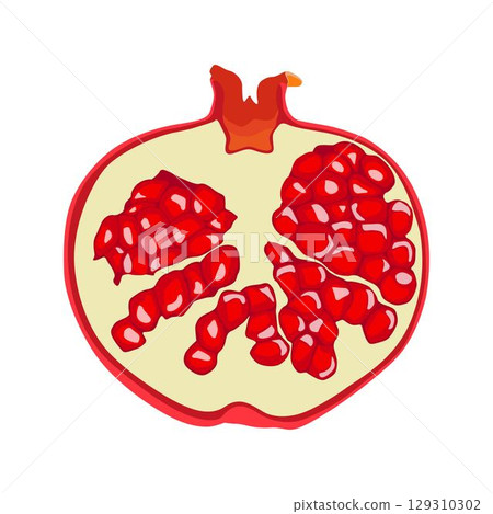 Vector illustration of whole and sliced pomegranate fruit in cartoon flat style. Punica granatum ripe fruit healthy food, agricultural product, isolated in white background. Red Garnet tropical fruit. 129310302