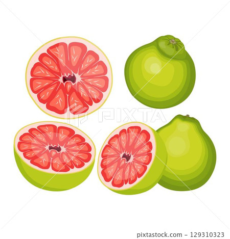 Vector illustration green and yellow pomelo in cartoon flat style. Pomelo orange tropical fruit isolated on white background, fresh food for diet, agricultural product, gardening farm 129310323