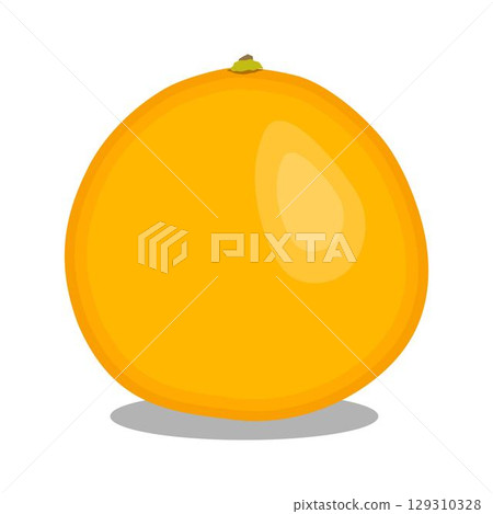Vector illustration green and yellow pomelo in cartoon flat style. Pomelo orange tropical fruit isolated on white background, fresh food for diet, agricultural product, gardening farm Vector illustration green and yellow pomelo in cartoon flat style. Pomelo orange tropical fruit isolated on white background, fresh food for diet, agricultural product, gardening farm 129310328