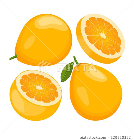 Vector illustration green and yellow pomelo in cartoon flat style. Pomelo orange tropical fruit isolated on white background, fresh food for diet, agricultural product, gardening farm 129310332