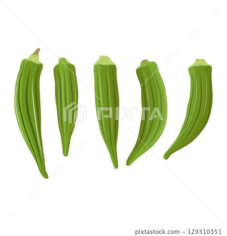 Vecktor illustration of Okra, Okura Okazu, ladyfinger, bamia or Bhindi. Fresh green vegetable, asian cooking ingredient. Whole and sclice. Healthy vegetarian food. Flat vector in cartoon style. 129310351