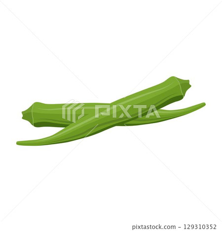 Vecktor illustration of Okra, Okura Okazu, ladyfinger, bamia or Bhindi. Fresh green vegetable, asian cooking ingredient. Whole and sclice. Healthy vegetarian food. Flat vector in cartoon style. Vecktor illustration of Okra, Okura Okazu, ladyfinger, bamia or Bhindi. Fresh green vegetable, asian cooking ingredient. Whole and sclice. Healthy vegetarian food. Flat vector in cartoon style. 129310352