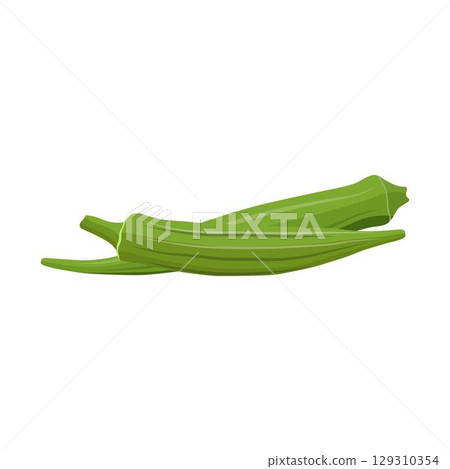 Vecktor illustration of Okra, Okura Okazu, ladyfinger, bamia or Bhindi. Fresh green vegetable, asian cooking ingredient. Whole and sclice. Healthy vegetarian food. Flat vector in cartoon style. 129310354