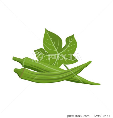 Vecktor illustration of Okra, Okura Okazu, ladyfinger, bamia or Bhindi. Fresh green vegetable, asian cooking ingredient. Whole and sclice. Healthy vegetarian food. Flat vector in cartoon style. Vecktor illustration of Okra, Okura Okazu, ladyfinger, bamia or Bhindi. Fresh green vegetable, asian cooking ingredient. Whole and sclice. Healthy vegetarian food. Flat vector in cartoon style. 129310355