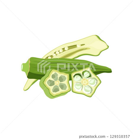 Vecktor illustration of Okra, Okura Okazu, ladyfinger, bamia or Bhindi. Fresh green vegetable, asian cooking ingredient. Whole and sclice. Healthy vegetarian food. Flat vector in cartoon style. 129310357