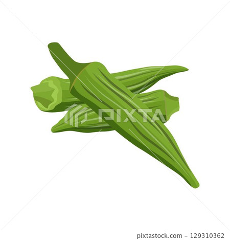 Vecktor illustration of Okra, Okura Okazu, ladyfinger, bamia or Bhindi. Fresh green vegetable, asian cooking ingredient. Whole and sclice. Healthy vegetarian food. Flat vector in cartoon style. 129310362