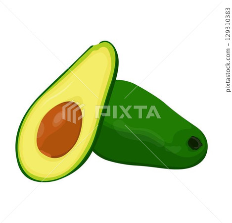 Vector illustration of avocado healthy fruit. Bright green whole fruit or vegetables, half, slices, with a large seed. Food for a healthy diet. Vector illustration of avocado healthy fruit. Bright green whole fruit or vegetables, half, slices, with a large seed. Food for a healthy diet. 129310383
