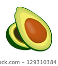 Vector illustration of avocado healthy fruit. Bright green whole fruit or vegetables, half, slices, with a large seed. Food for a healthy diet. 129310384