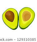 Vector illustration of avocado healthy fruit. Bright green whole fruit or vegetables, half, slices, with a large seed. Food for a healthy diet. 129310385