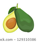 Vector illustration of avocado healthy fruit. Bright green whole fruit or vegetables, half, slices, with a large seed. Food for a healthy diet. 129310386