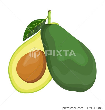 Vector illustration of avocado healthy fruit. Bright green whole fruit or vegetables, half, slices, with a large seed. Food for a healthy diet. 129310386