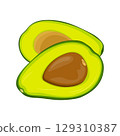 Vector illustration of avocado healthy fruit. Bright green whole fruit or vegetables, half, slices, with a large seed. Food for a healthy diet. 129310387