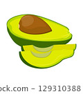 Vector illustration of avocado healthy fruit. Bright green whole fruit or vegetables, half, slices, with a large seed. Food for a healthy diet. 129310388