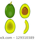Vector illustration of fresh whole, half, cut slice avocado on white background. Summer fruits for healthy lifestyle. Organic fruit. Cartoon style. Vector illustration for digital resources 129310389