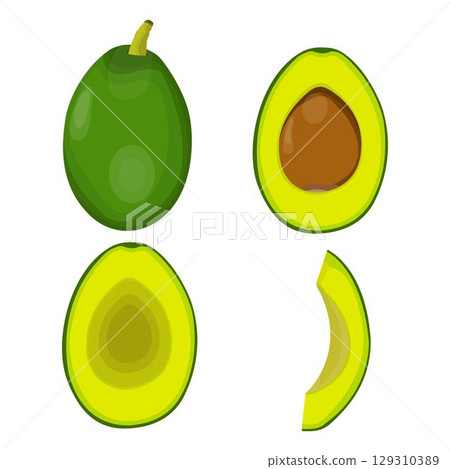 Vector illustration of fresh whole, half, cut slice avocado on white background. Summer fruits for healthy lifestyle. Organic fruit. Cartoon style. Vector illustration for digital resources Vector illustration of fresh whole, half, cut slice avocado on white background. Summer fruits for healthy lifestyle. Organic fruit. Cartoon style. Vector illustration for digital resources 129310389