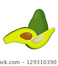 Vector illustration of fresh whole, half, cut slice avocado on white background. Summer fruits for healthy lifestyle. Organic fruit. Cartoon style. Vector illustration for digital resources 129310390