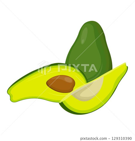 Vector illustration of fresh whole, half, cut slice avocado on white background. Summer fruits for healthy lifestyle. Organic fruit. Cartoon style. Vector illustration for digital resources Vector illustration of fresh whole, half, cut slice avocado on white background. Summer fruits for healthy lifestyle. Organic fruit. Cartoon style. Vector illustration for digital resources 129310390
