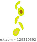 Vector illustration of fresh whole, half, cut slice avocado on white background. Summer fruits for healthy lifestyle. Organic fruit. Cartoon style. Vector illustration for digital resources 129310392