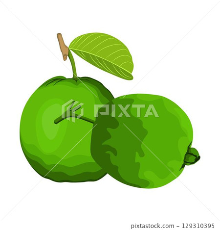 Vector illustration of summer tropical fruits for healthy lifestyle. Guava, whole fruit and half. Cartoon flat icon isolated on white background. Element for digital resources graphic fruit Vector illustration of summer tropical fruits for healthy lifestyle. Guava, whole fruit and half. Cartoon flat icon isolated on white background. Element for digital resources graphic fruit 129310395