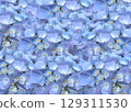 平靜的藍色繡球花背景紋理 129311530