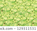 新鮮的黃綠色繡球花背景紋理 129311531